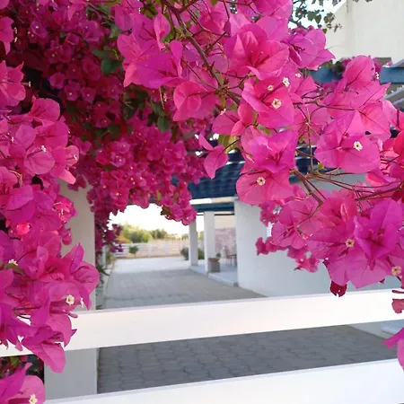 Letizia Holiday home