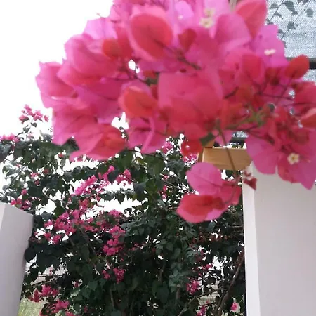 Letizia Holiday home